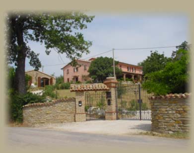 das haus